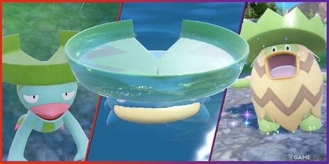 what level does lotad evolve.